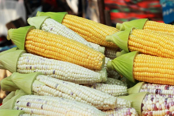Maïs doux sur le marché — Photo