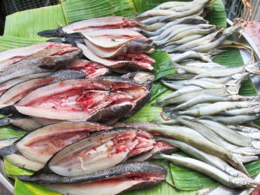 Pazarda taze balık.