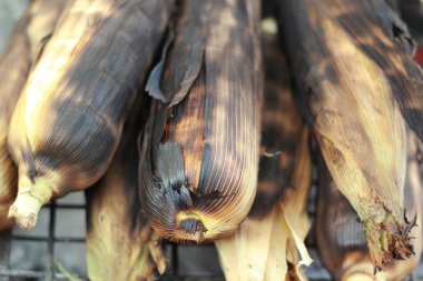 kavrulmuş ızgara mısır - Barbekü Mısır