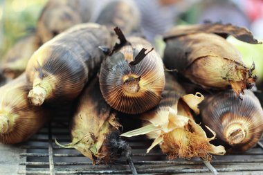 kavrulmuş ızgara mısır - Barbekü Mısır