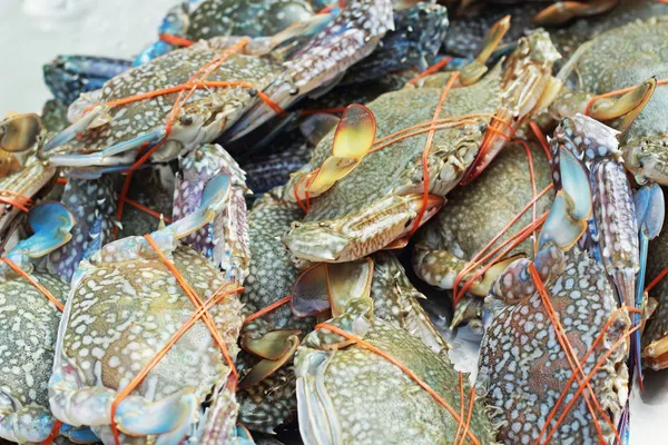 Fresh crab in the market — Stock Photo, Image