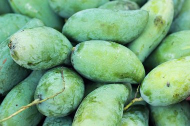 taze mango meyve Pazar