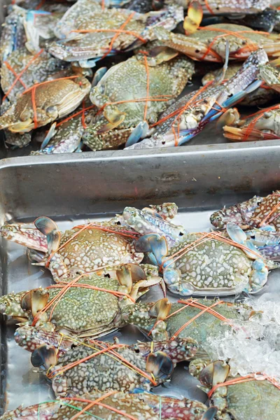 Fresh crab in the market — Stock Photo, Image