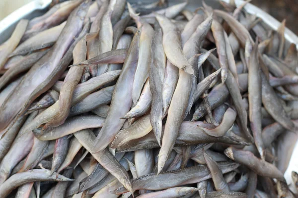 Peşte proaspăt pe piaţă . — Fotografie, imagine de stoc