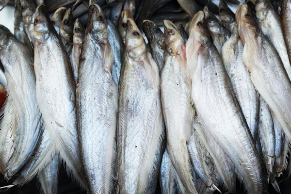 Färsk fisk på marknaden. — Stockfoto