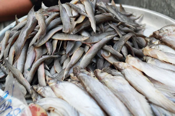 Färsk fisk på marknaden. — Stockfoto