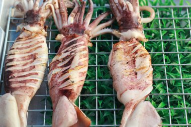 b-Barbekü Izgara kalamar piyasada