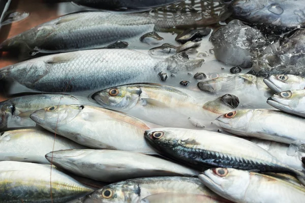 Pesce fresco sul mercato. — Foto Stock