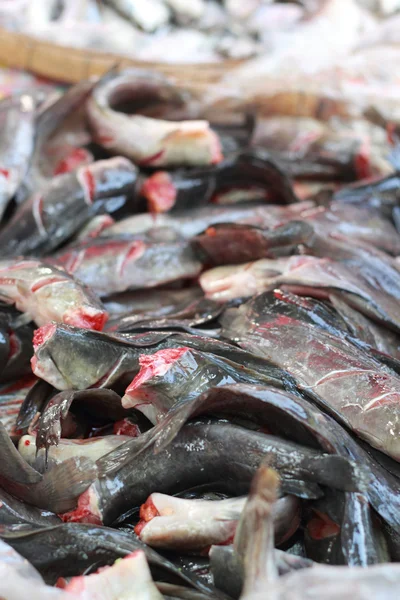Čerstvé ryby na trhu. — Stock fotografie