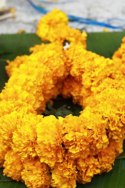 Marigold çiçek pazarında
