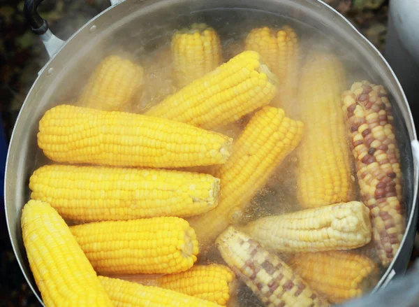 Сладкая кукуруза, сваренная в котле — стоковое фото