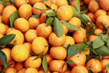 piyasada turuncu meyveler