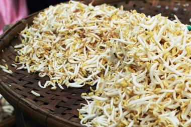 fasulye filizi piyasada