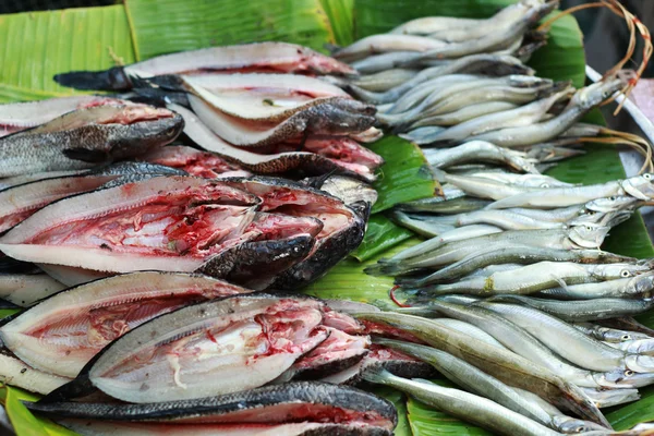 Pescado fresco en el mercado — Foto de Stock