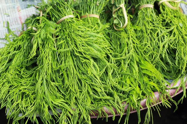 Acacia Pennata nel mercato fresco tailandese — Foto Stock