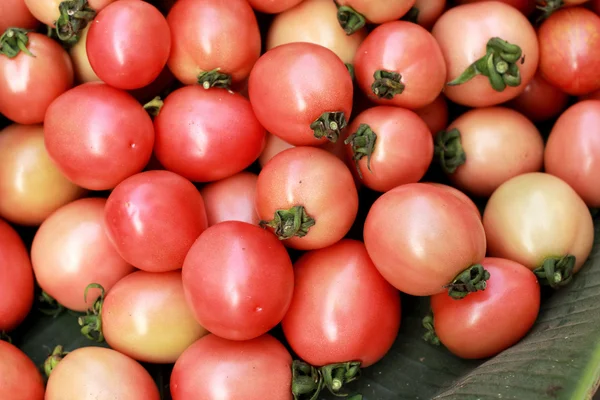 Tomates frescos no mercado — Fotografia de Stock