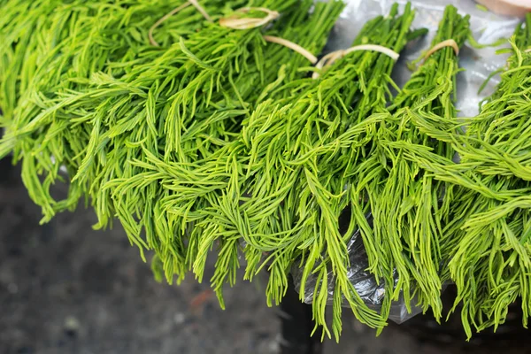 Acacia Pennata in Thai fresh market — Stock Photo, Image