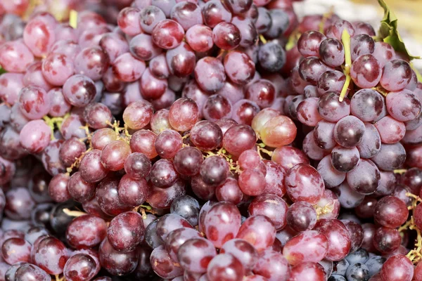 Fresh grapes on the market — Stock Photo, Image