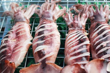 b-Barbekü Izgara kalamar piyasada