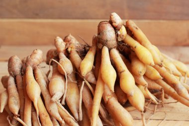 fingerroot herb Asya - Pazar