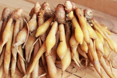 fingerroot herb Asya - Pazar