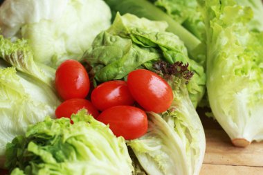 taze domates, kırmızı yeşil salata.