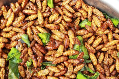 Kızarmış ipek piyasada solucanlar