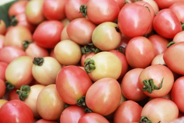 Tomates frescos en el mercado — Foto de Stock