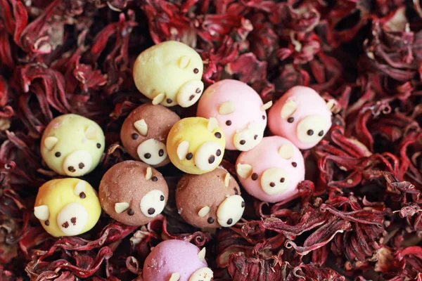 Pralinen Schweinesnack - auf getrockneter Okra. — Stockfoto