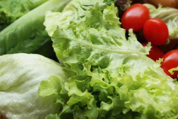 Green salad with fresh tomatoes, red. — Stock Photo, Image