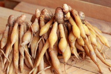 fingerroot herb Asya - Pazar