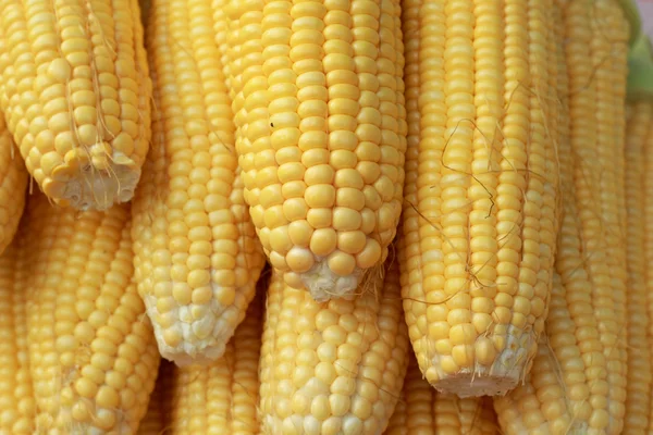 Sweet corn in the market — Stock Photo, Image