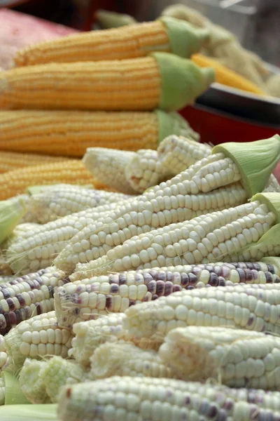 Purple corn in the market — Stock Photo, Image