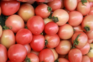 Pazarda taze domates 
