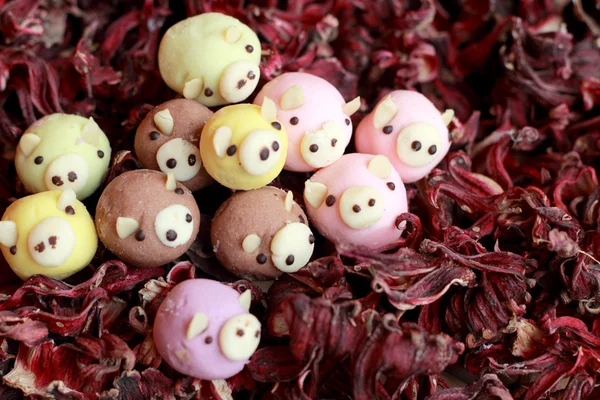 Pralinen Schweinesnack - auf getrockneter Okra. — Stockfoto