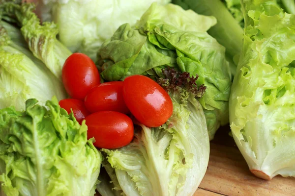 Green salad with fresh tomatoes, red. — Stock Photo, Image