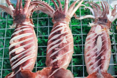 b-Barbekü Izgara kalamar piyasada