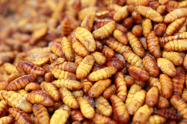 Bichos de seda fritos no mercado — Fotografia de Stock