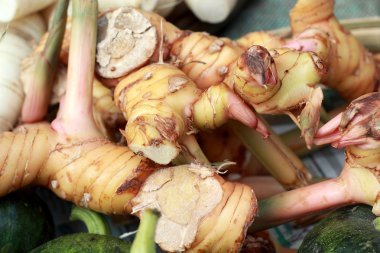 piyasada zencefil kökü