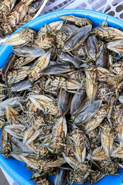 Primer plano de insecto frito —  Fotos de Stock