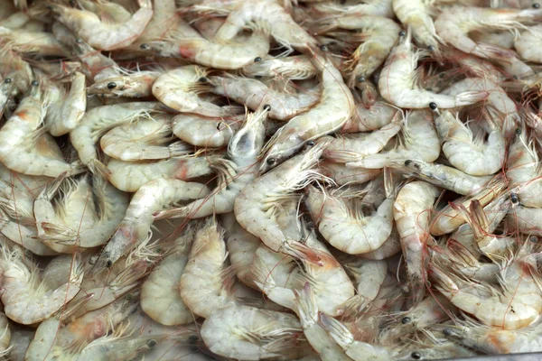 Udang segar di pasar — Stok Foto