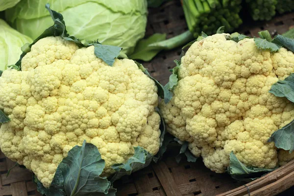 Cerca de la coliflor en el huerto —  Fotos de Stock