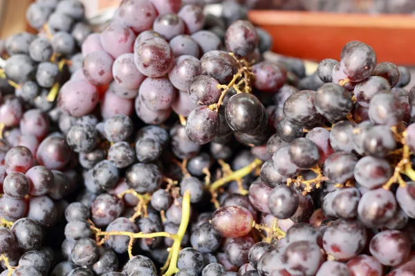 Verse druiven op de markt — Stockfoto