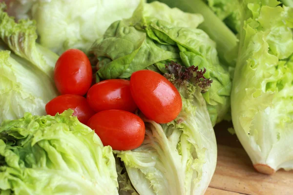 Groene salade met verse tomaten, rood. — Stockfoto