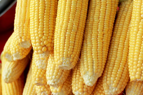 Sweet corn in the market — Stock Photo, Image