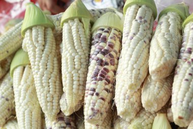 Mor Mısır piyasada