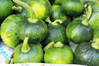 Pazarda taze yeşil balkabağı