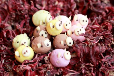 çikolatalar domuz snack - kuru bamya. 