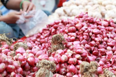 soğancık - Pazar Asya kırmızı soğan