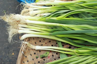 taze soğan yakın çekim